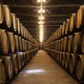 New Cask Arrivals: Understanding Selection and Character